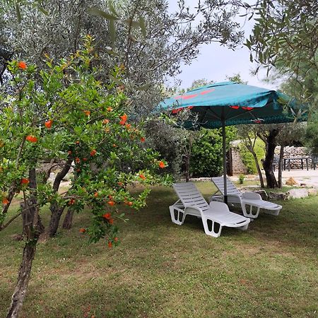 Marti'S House In The Olive Grove Apartment Fazana Luaran gambar