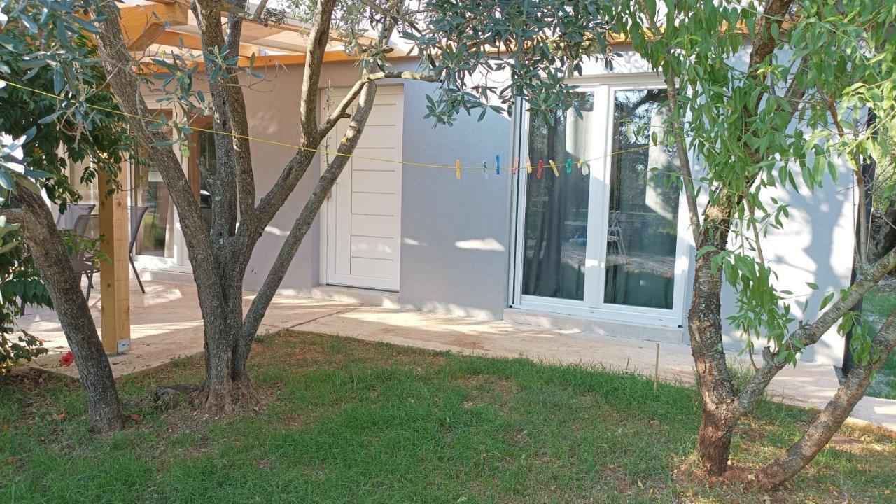 Marti'S House In The Olive Grove Apartment Fazana Luaran gambar