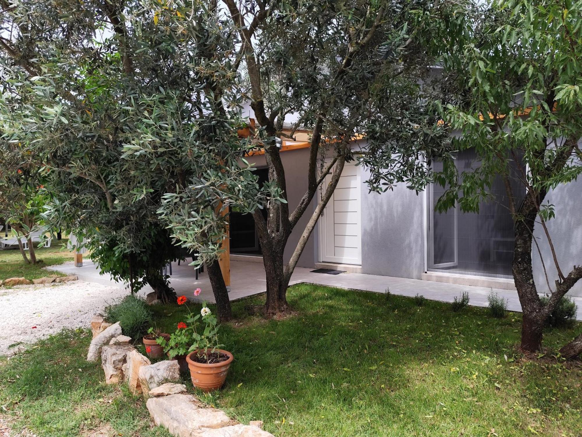 Marti'S House In The Olive Grove Apartment Fazana Luaran gambar