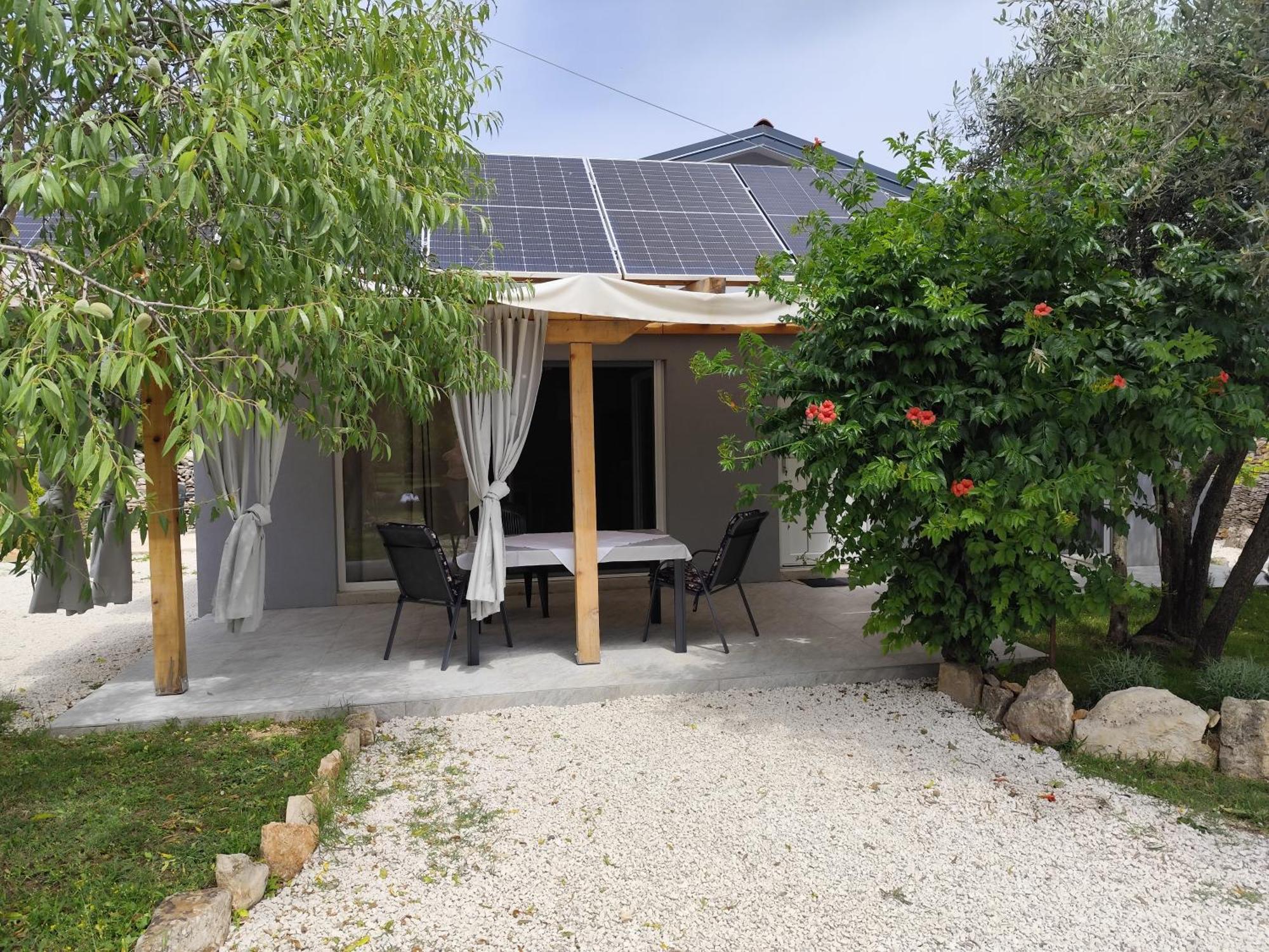 Marti'S House In The Olive Grove Apartment Fazana Luaran gambar