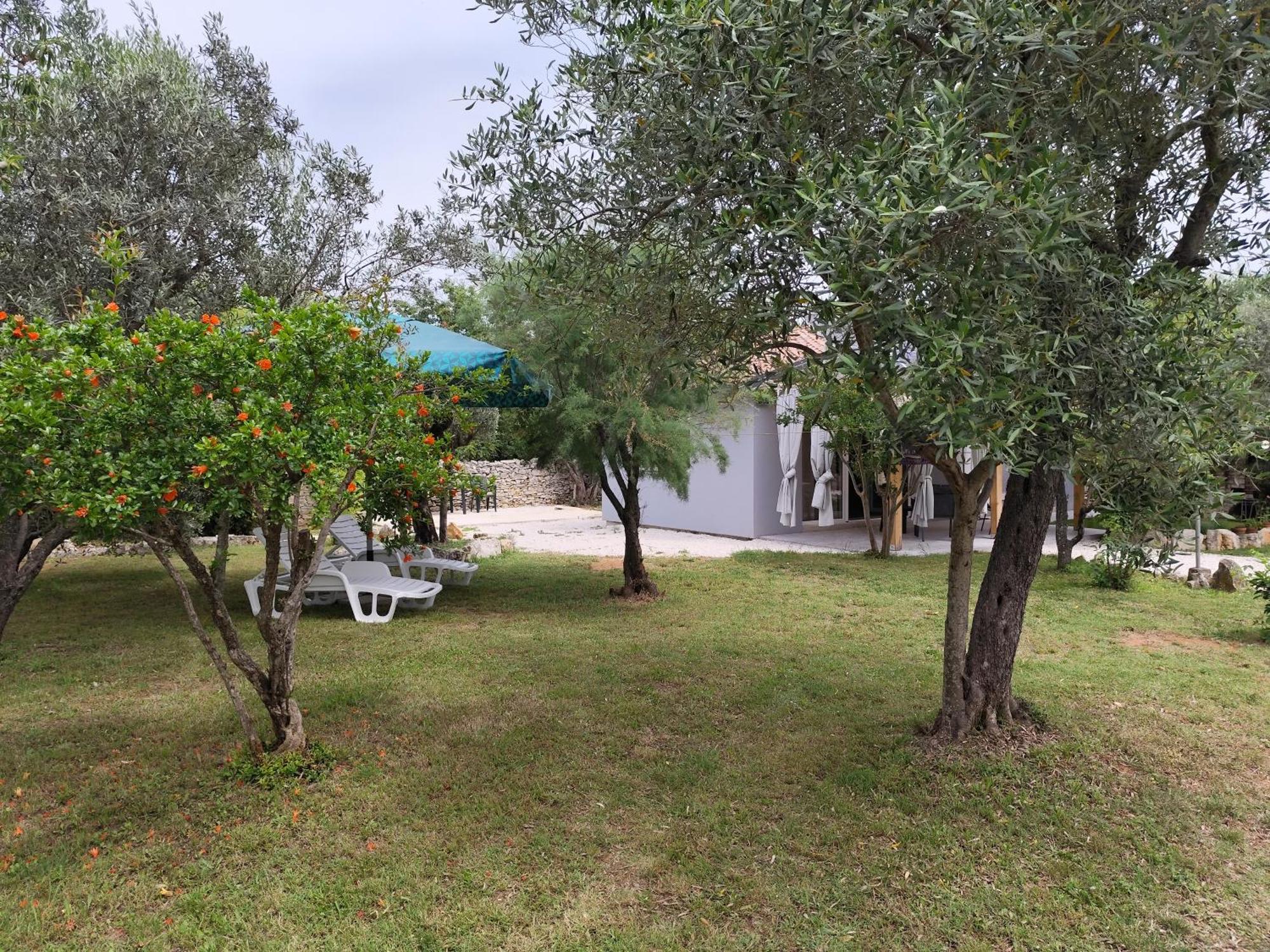 Marti'S House In The Olive Grove Apartment Fazana Luaran gambar
